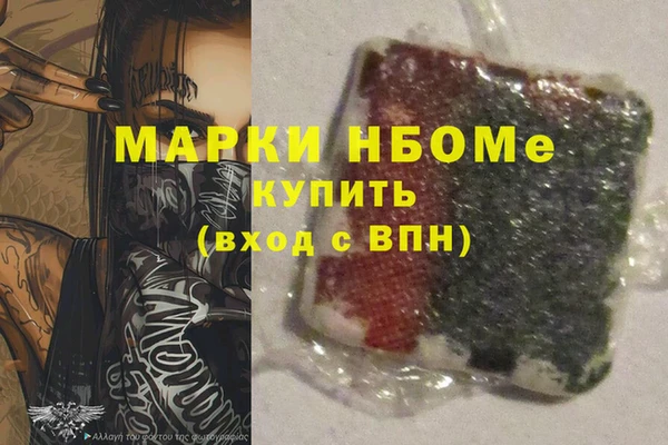 стаф Белокуриха