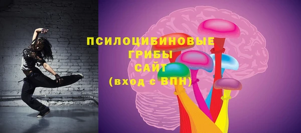 стаф Белокуриха