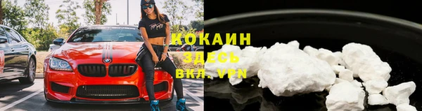 стаф Белокуриха