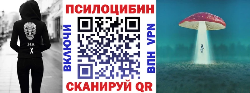 мега онион  Пионерский  Галлюциногенные грибы мицелий 